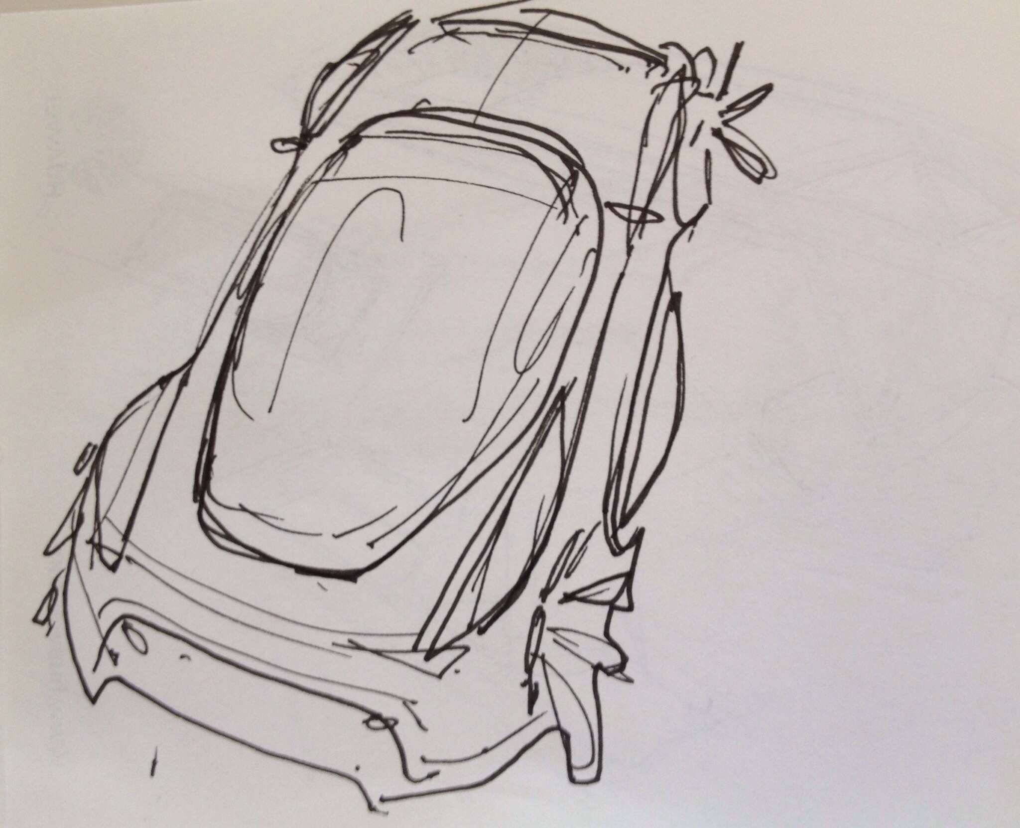 Fishing for proportions – TIVASDESIGN